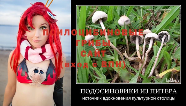 спиды Белоозёрский