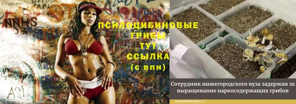 спиды Белоозёрский