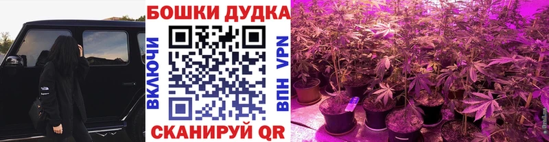 как найти закладки  Десногорск  MEGA ONION  Конопля семена 
